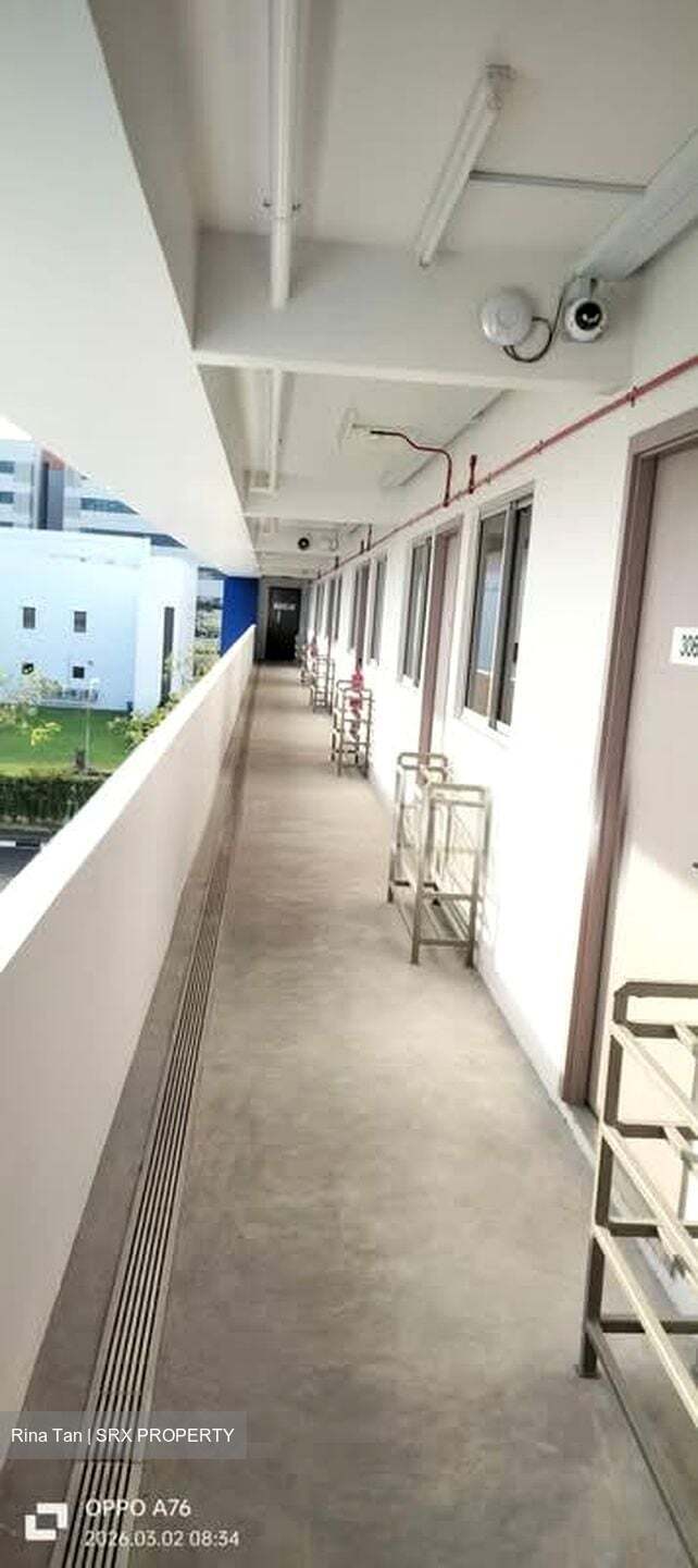 Loyang Industrial Estate (D17), Factory #530847001